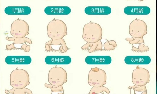 小茴香的根可以栽活吗-小茴香的根、小茴香的根 -小茴香根吃法网