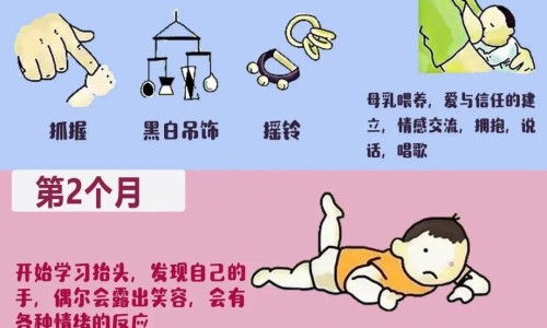 小茴香的根可以栽活吗-小茴香的根、小茴香的根 -小茴香根吃法网